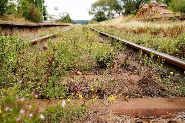 Informationen zum Neubau der Stadtbahnlinie 17