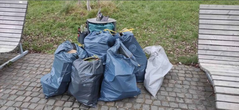Macht mit beim europaweiten RhineCleanUp am 12. September 2026!